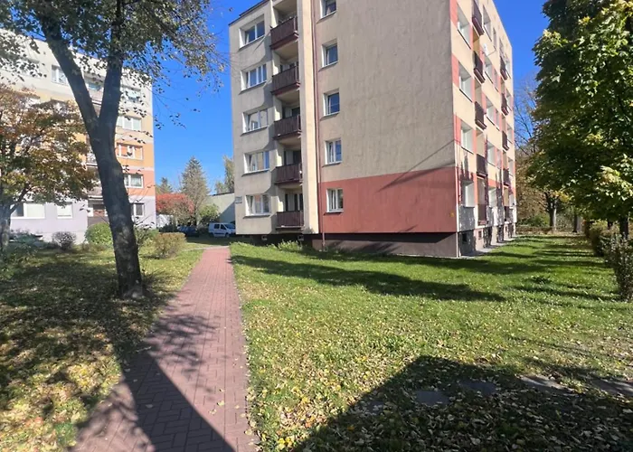 Al Jana Pawla * צ'סטוצ'ובה